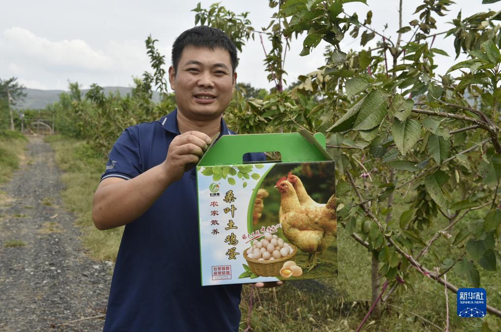 万美娱乐登录